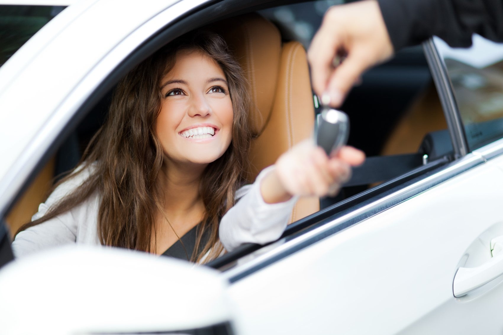 Used Car Dealer
