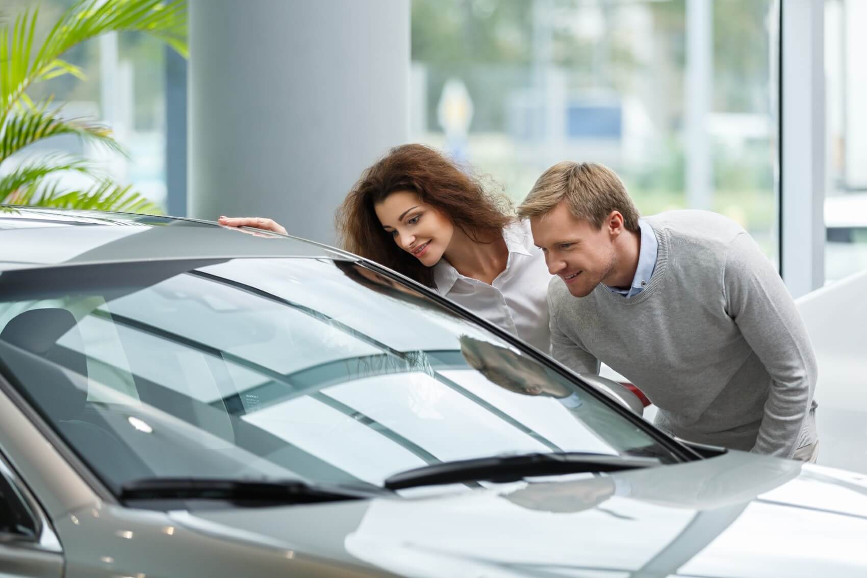 Used Car Dealer